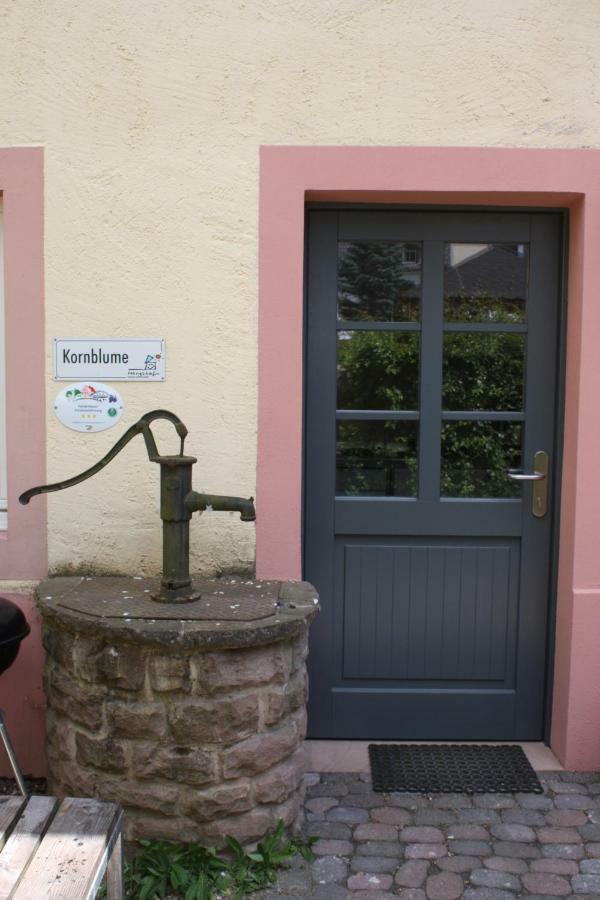 Nengshof Ferienwohnungen Mohnblume Und Kornblume Wissmannsdorf Exterior photo